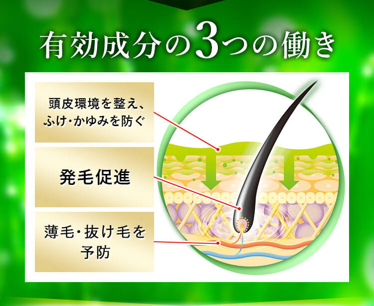 有効成分の3つの働き 頭皮環境を整え、ふけ・かゆみを防ぐ 発毛促進 薄毛・抜け毛を予防