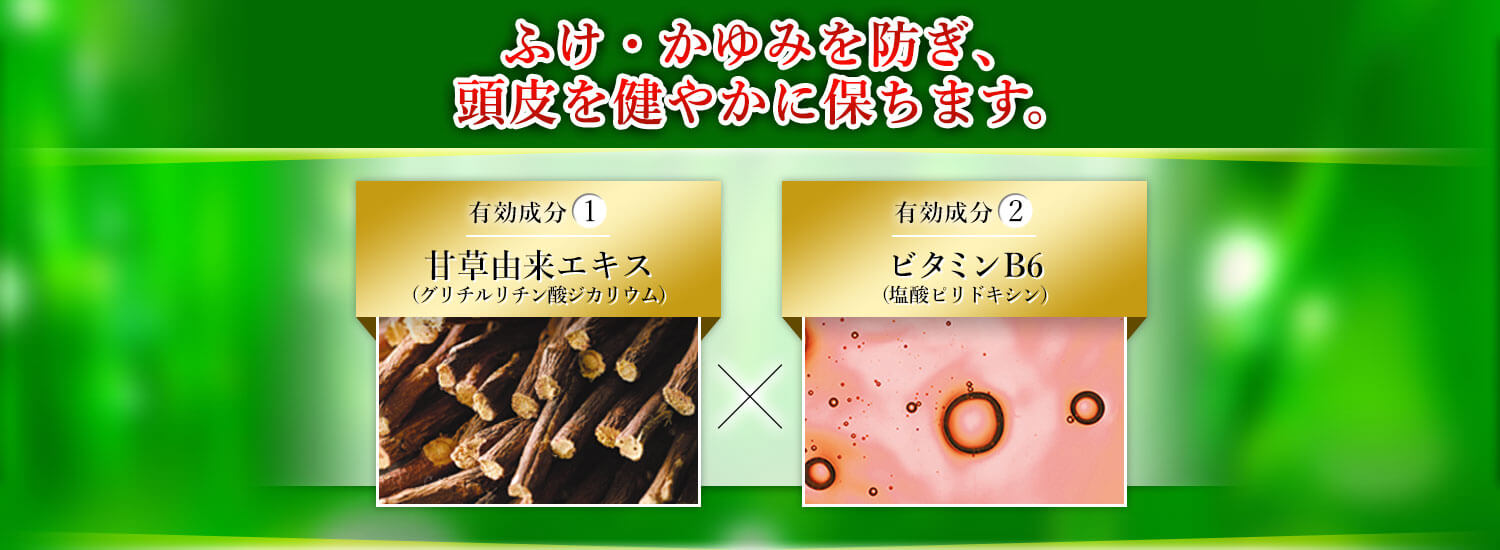 ふけ・かゆみを防ぎ、頭皮を健やかに保ちます 有効成分1 甘草由来エキス（グリチルリチン酸ジカリウム） 有効成分2 ビタミンB6（塩酸ビリドキシン）