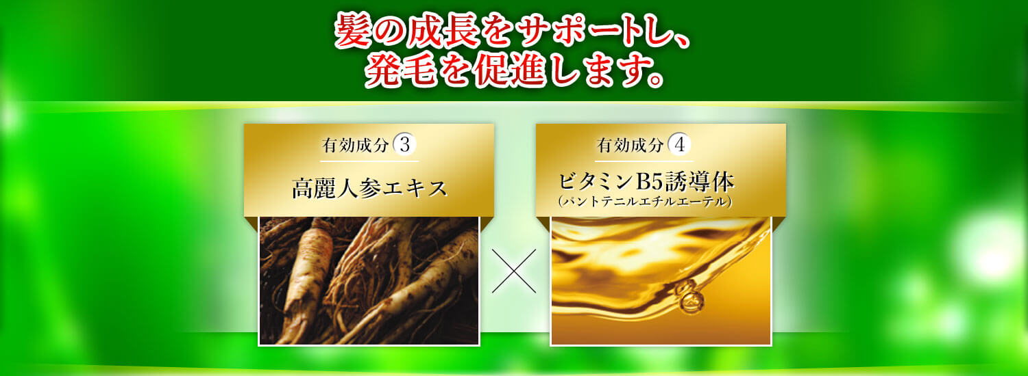 髪の成長をサポートし、発毛を促進します 有効成分3 高麗人参エキス 有効成分4 ビタミンB5誘導体（パントテニルエチルエーテル）