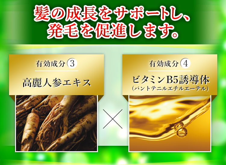 髪の成長をサポートし、発毛を促進します 有効成分3 高麗人参エキス 有効成分4 ビタミンB5誘導体（パントテニルエチルエーテル）