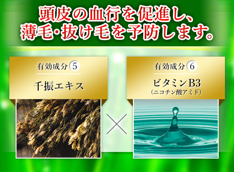 頭皮の血行を促進し、薄毛・抜け毛を予防します 有効成分5 千振エキス 有効成分6 ビタミンB3（ニコチン酸アミド）
