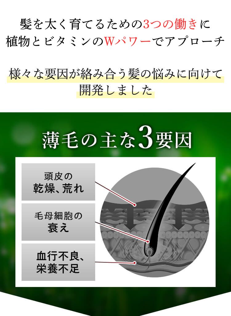 髪を強く太く育てるための3つの働きに植物とビタミンのWパワーでアプローチ 様々な要因が絡み合う髪の悩みに向けて開発しました