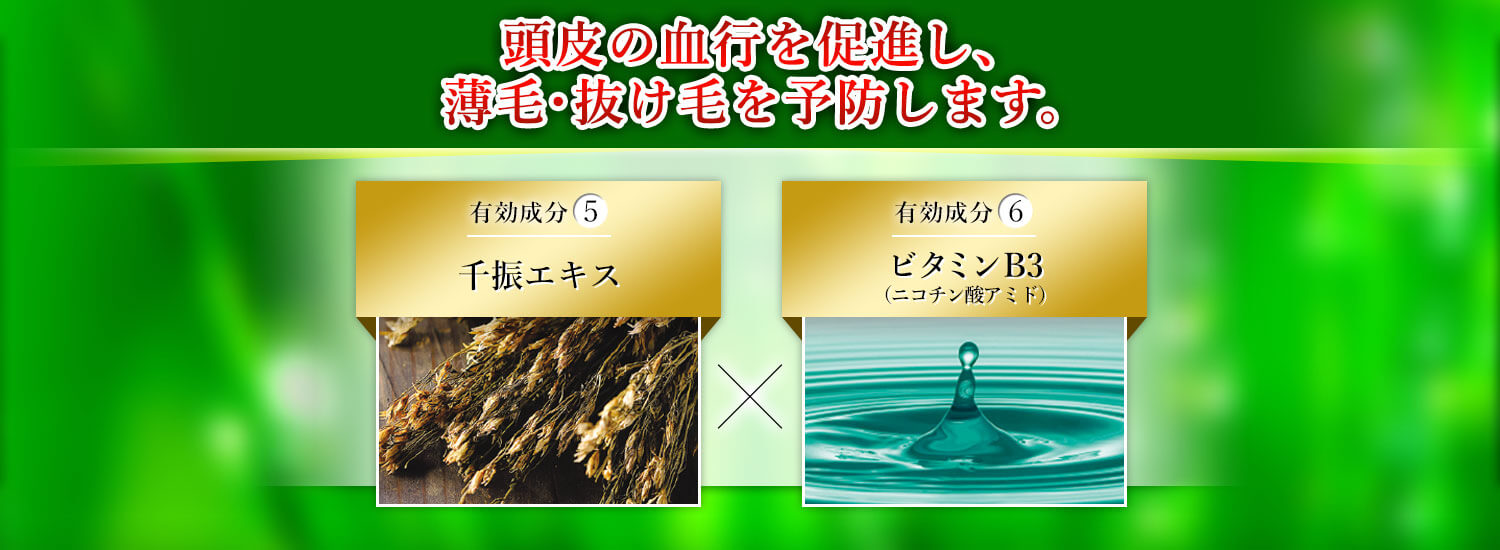 頭皮の血行を促進し、薄毛・抜け毛を予防します 有効成分5 千振エキス 有効成分6 ビタミンB3（ニコチン酸アミド）