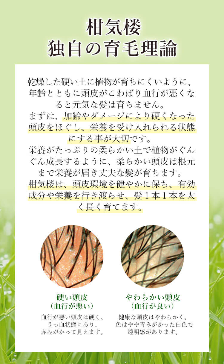 柑気楼独自の育毛理論