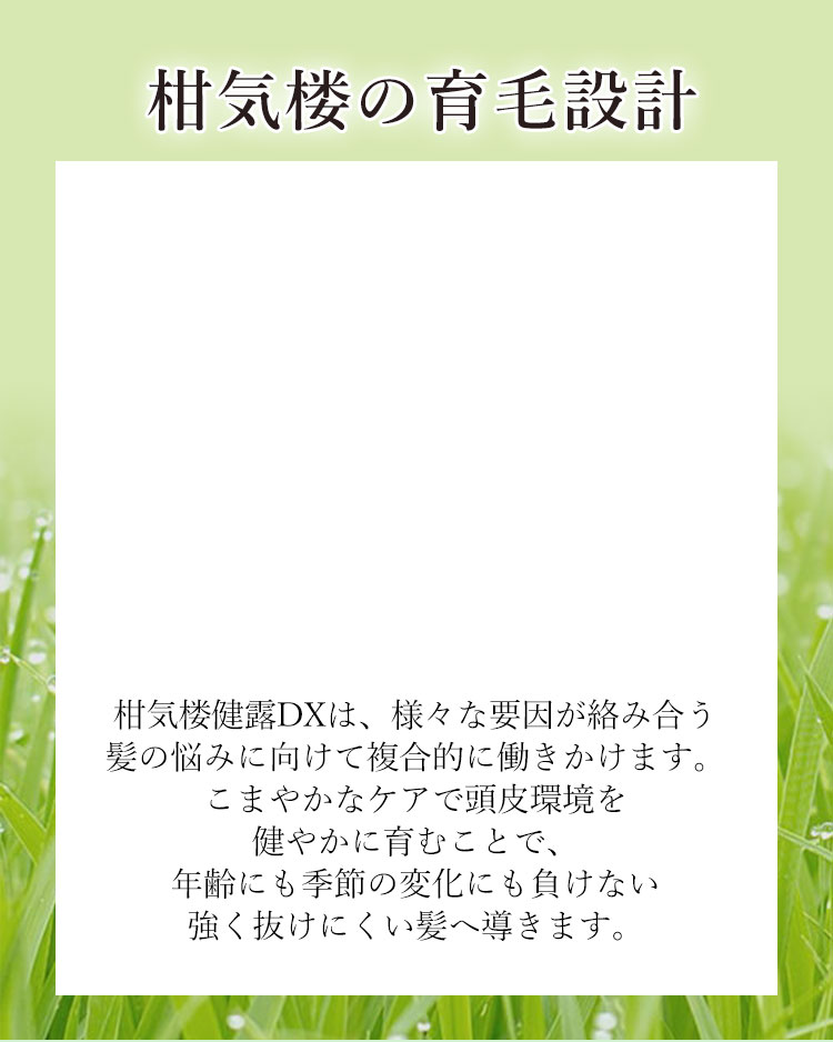 柑気楼の育毛設計
