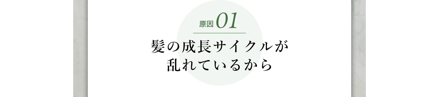 原因01髪の成長サイクルが乱れているから