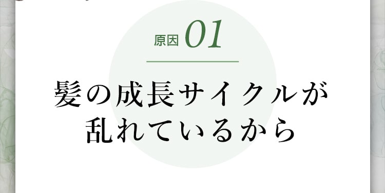 原因01髪の成長サイクルが乱れているから