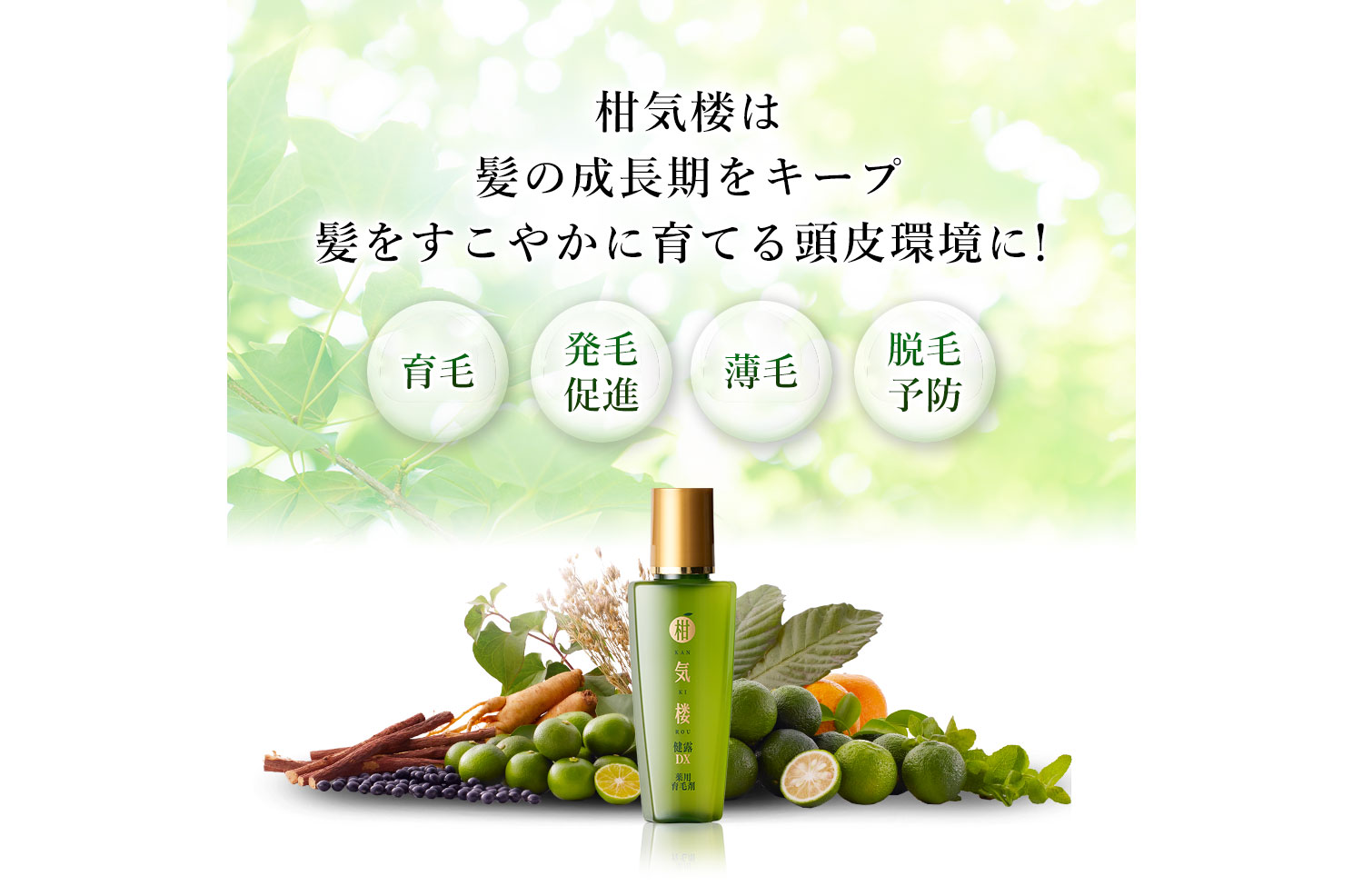 柑気楼は髪の成長期を長くキープ髪をすこやかに育てる頭皮環境に！…