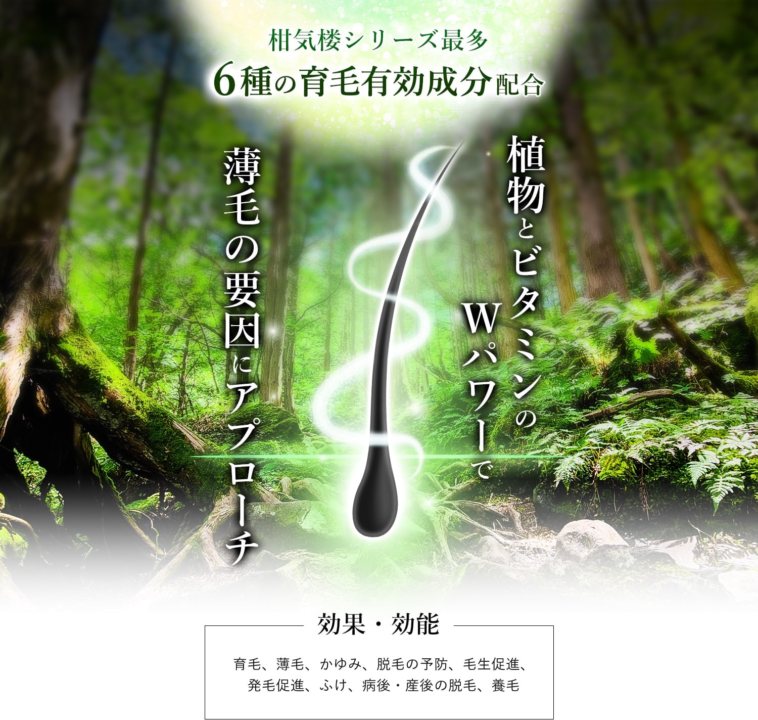 柑気楼シリーズ最多6種の育毛有効成分配合植物とビタミンのWパワーで薄毛の要因にアプローチ!効果・効能 育毛、薄毛、かゆみ、脱毛の予防、毛生促進、発毛促進、ふけ、病後・産後の脱毛、養毛
					