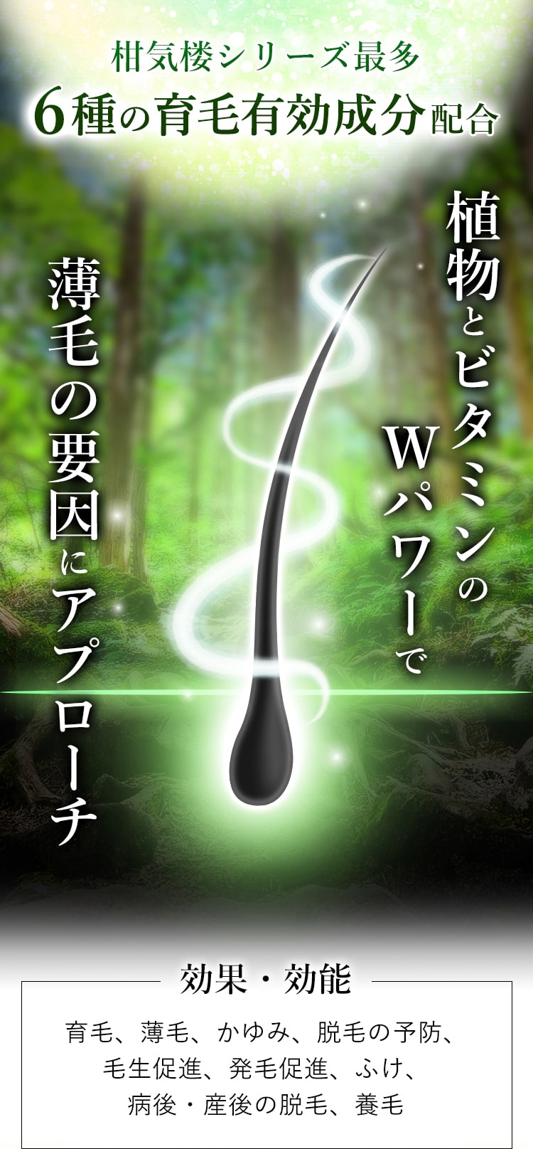 柑気楼シリーズ最多6種の育毛有効成分配合植物とビタミンのWパワーで薄毛の要因にアプローチ!効果・効能 育毛、薄毛、かゆみ、脱毛の予防、毛生促進、発毛促進、ふけ、病後・産後の脱毛、養毛
