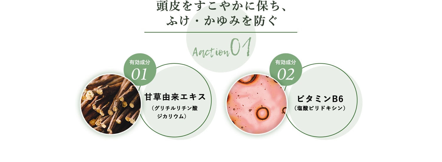 Aaction01 頭皮をすこやかに保ち、ふけ・かゆみを防ぐ