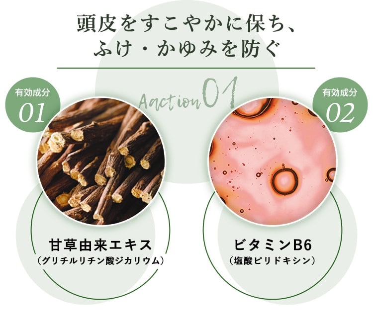 Aaction01 頭皮をすこやかに保ち、ふけ・かゆみを防ぐ