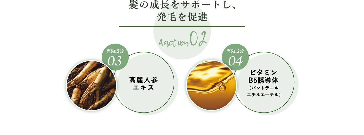 Aaction02 髪の成長をサポートし、発毛を促進。