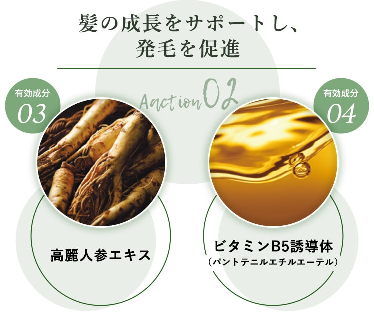 Aaction02 髪の成長をサポートし、発毛を促進。。