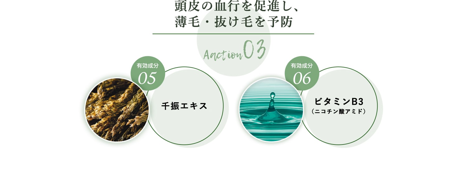 Aaction03 頭皮の血行を促進し、薄毛・抜け毛を予防