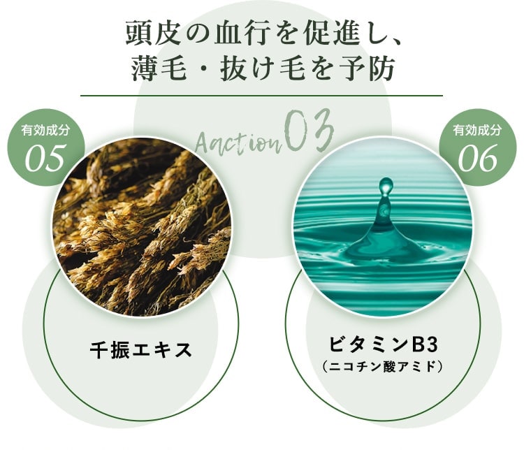 Aaction03 頭皮の血行を促進し、薄毛・抜け毛を予防