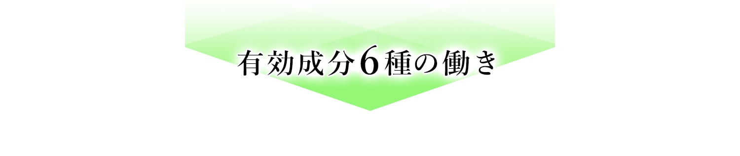 有効成分6種の働き
