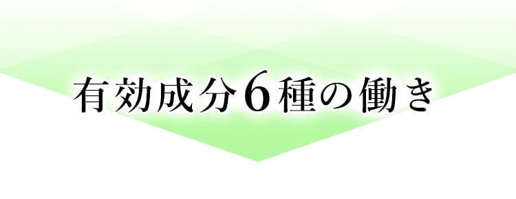 有効成分6種の働き