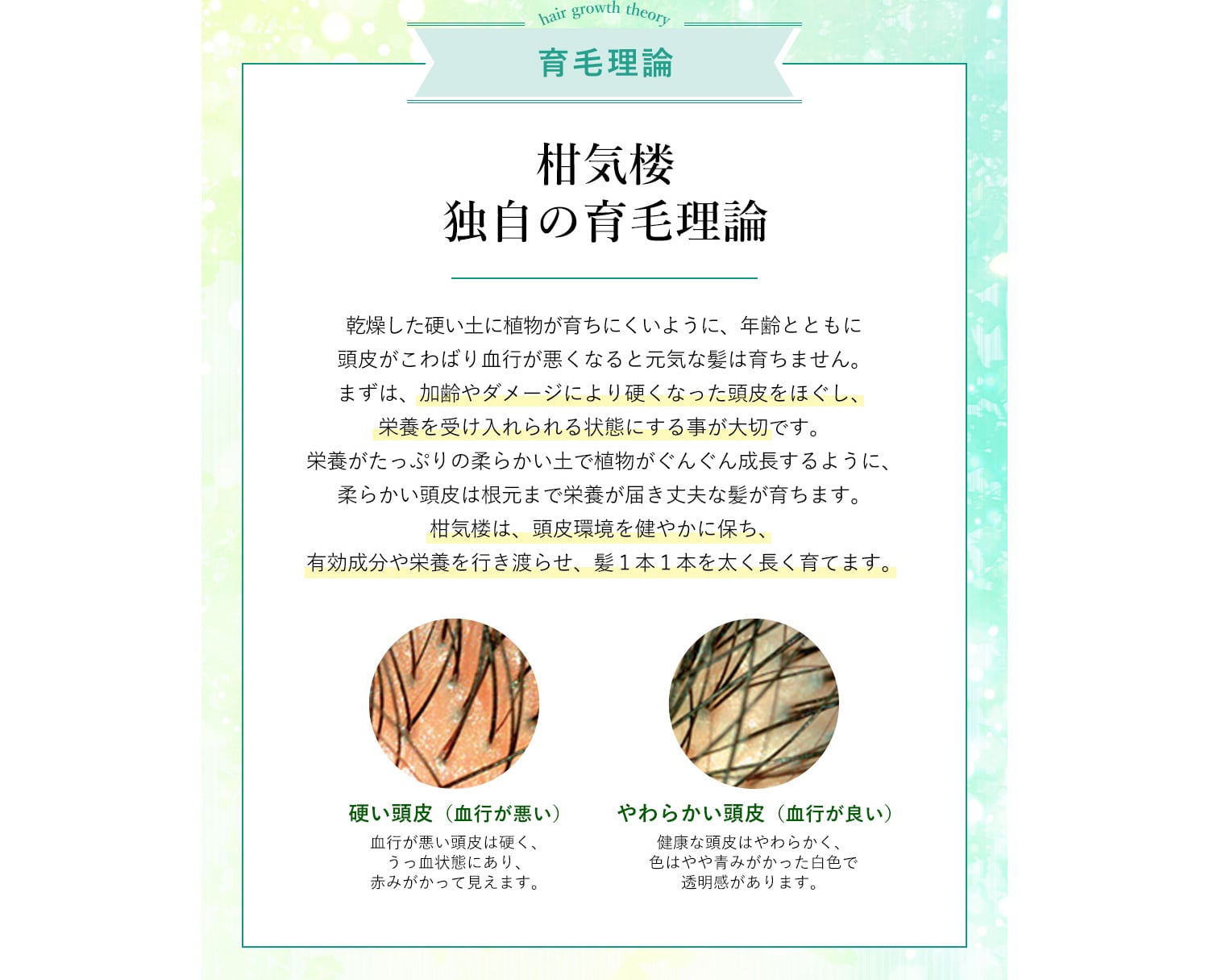 育毛理論 柑気楼独自の育毛理論 乾燥した硬い土に植物が育ちにくいように、年齢とともに頭皮がこわばり血行が悪くなると元気な髪は育ちません。まずは、加齢やダメージにより硬くなった頭皮をほぐし、栄養を受け入れられる状態にする事が大切です。栄養がたっぷりの柔らかい土で植物がぐんぐん成長するように、柔らかい頭皮は根元まで栄養が届き丈夫な髪が育ちます。柑気楼は、頭皮環境を健やかに保ち、有効成分や栄養を行き渡らせ、髪１本１本を太く長く育てます。
