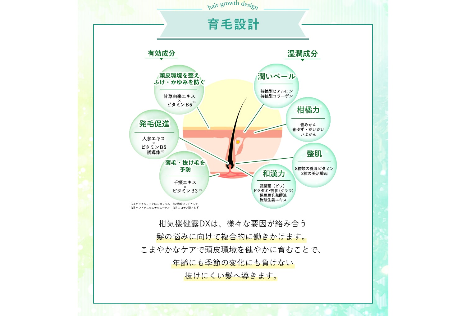育毛設計 柑気楼健露DXは、様々な要因が絡み合う髪の悩みに向けて複合的に働きかけます。こまやかなケアで頭皮環境を健やかに育むことで、年齢にも季節の変化にも負けない強く抜けにくい髪へ導きます。