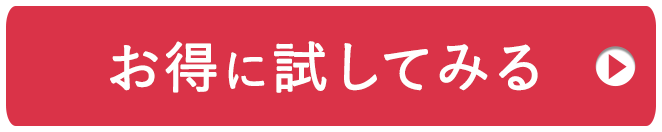 お得に試してみる