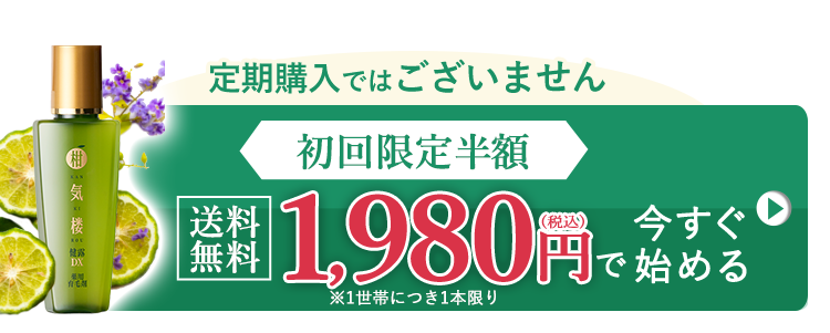 初回限定半額1,980円（税込）お得に試す