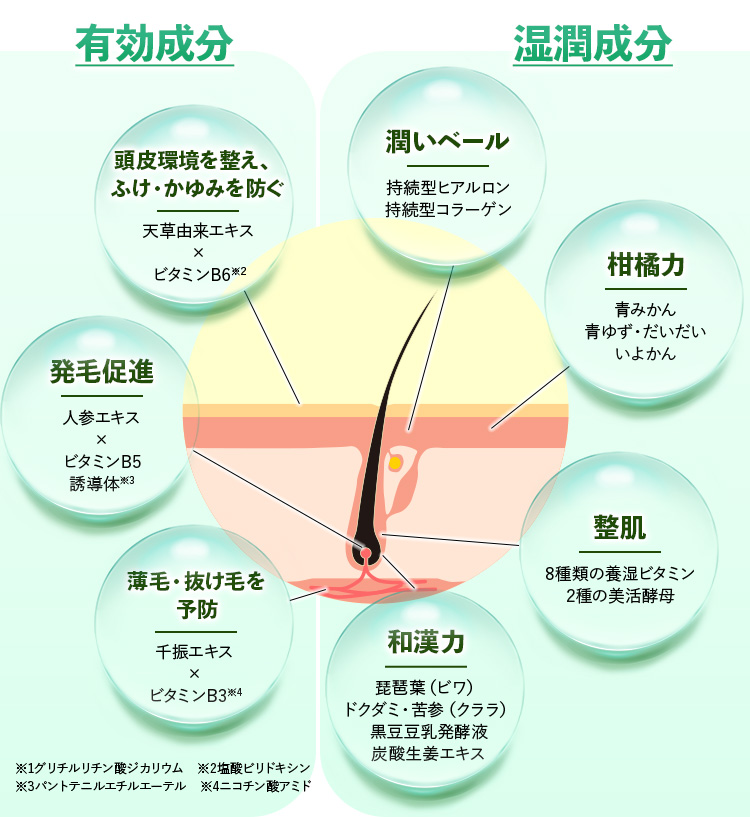 有効成分 湿潤成分