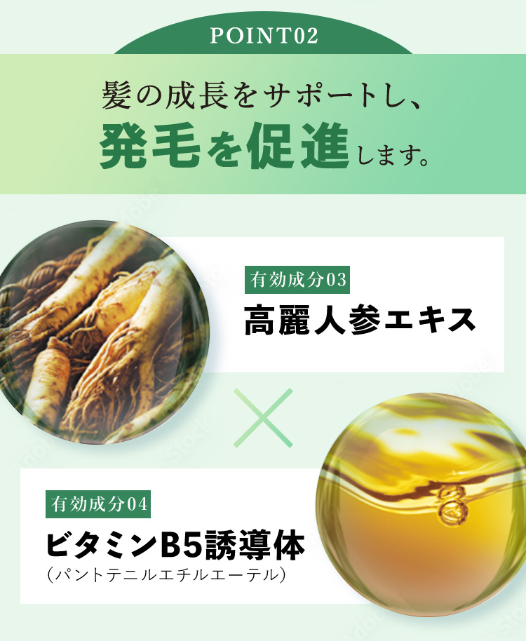 POINT02 髪の成長をサポートし、発毛を促進します。有効成分03 高麗人参エキス 有効成分04 ビタミンB5誘導体（パントテニルエチルエーテル）