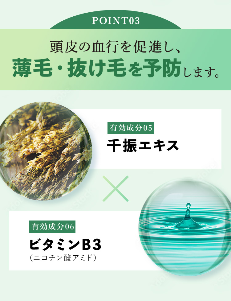POINT03 頭皮の血行を促進し、薄毛・抜け毛を予防します。 有効成分05 千振エキス 有効成分06 ビタミンB3（ニコチン酸アミド）